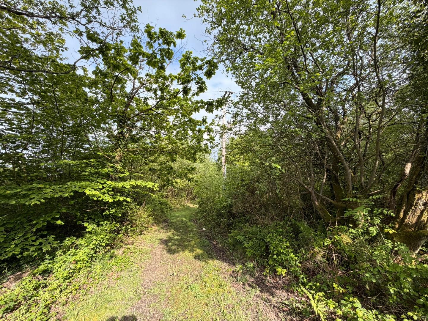 Approximately 5.706 acres adjacent to, Afan Valley Road, Cwmavon, Port Talbot SA12 9HA
